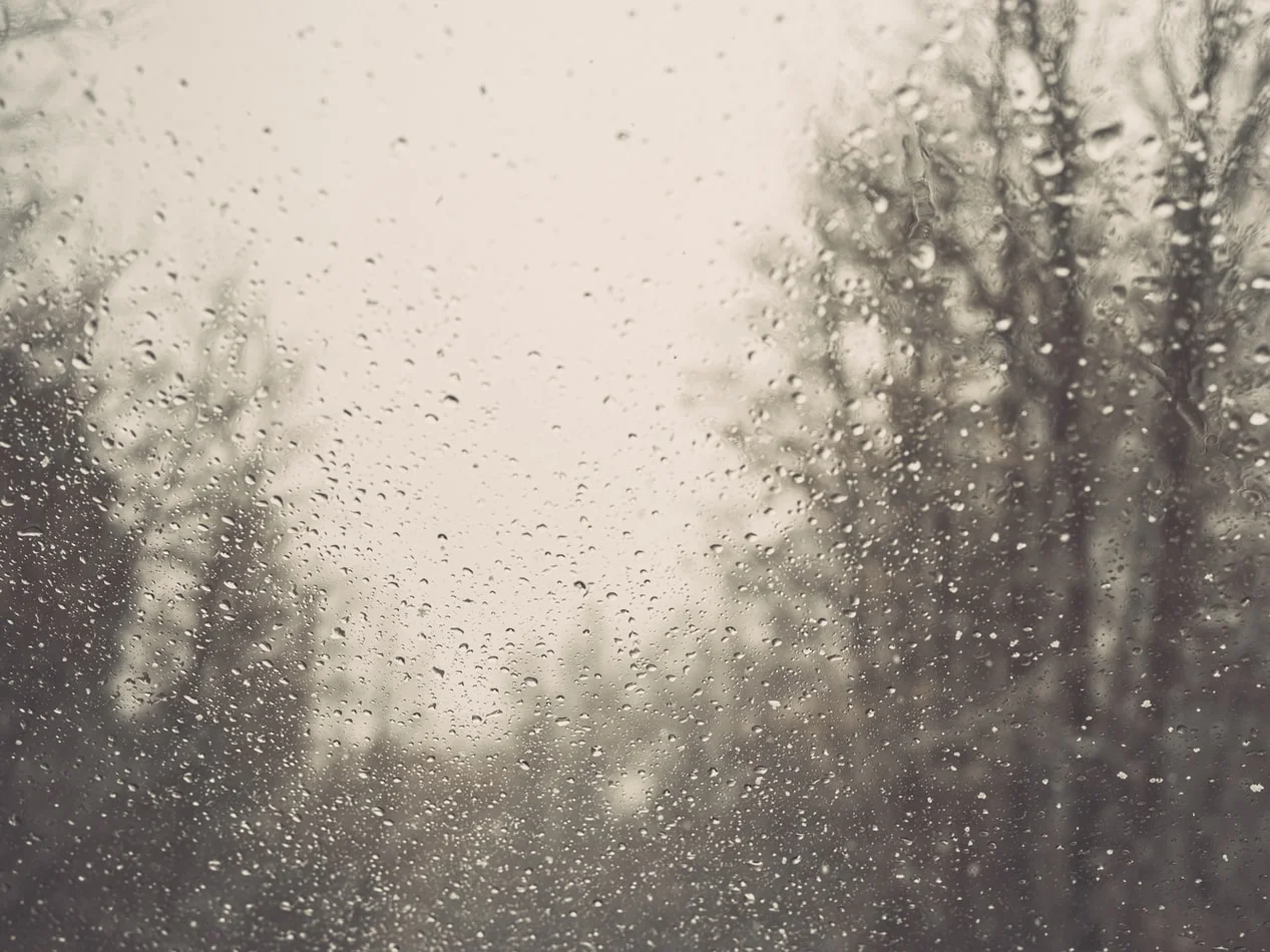 photo-1568749060075-55a51f687fa3.jfif