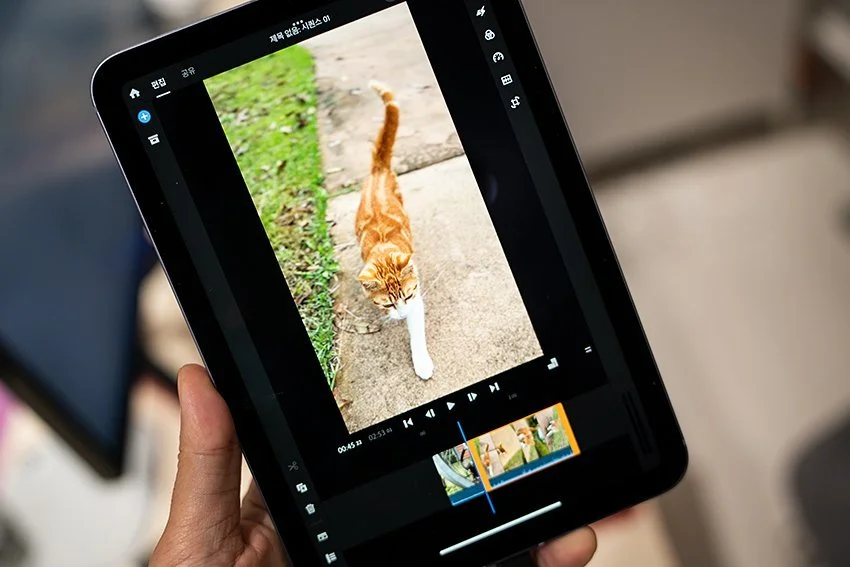 DSC03044.jpg?type=w1200