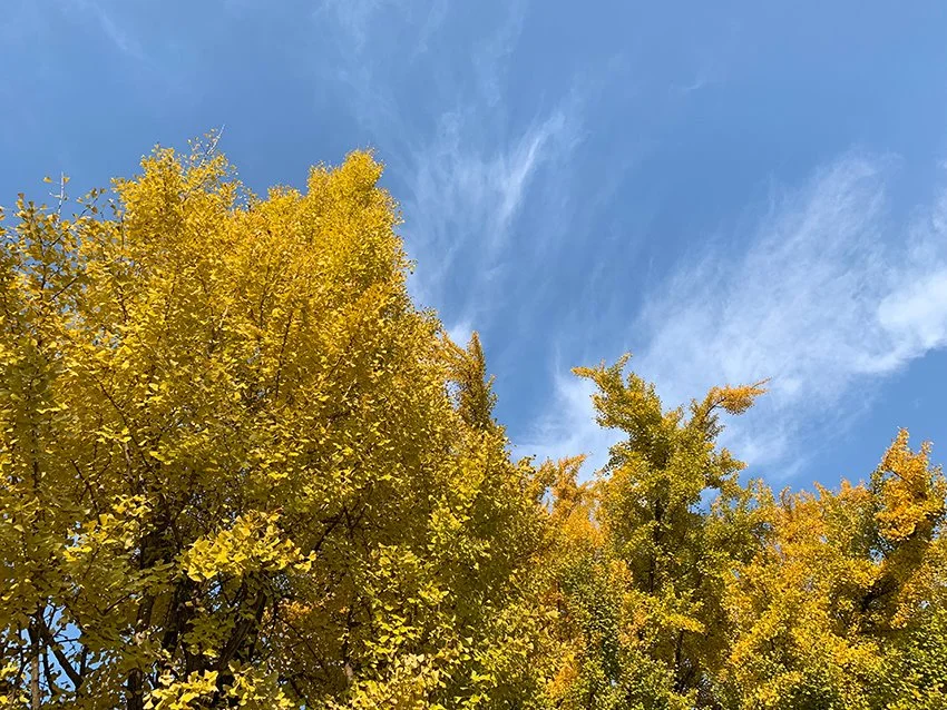 IMG_0018.jpg?type=w1200