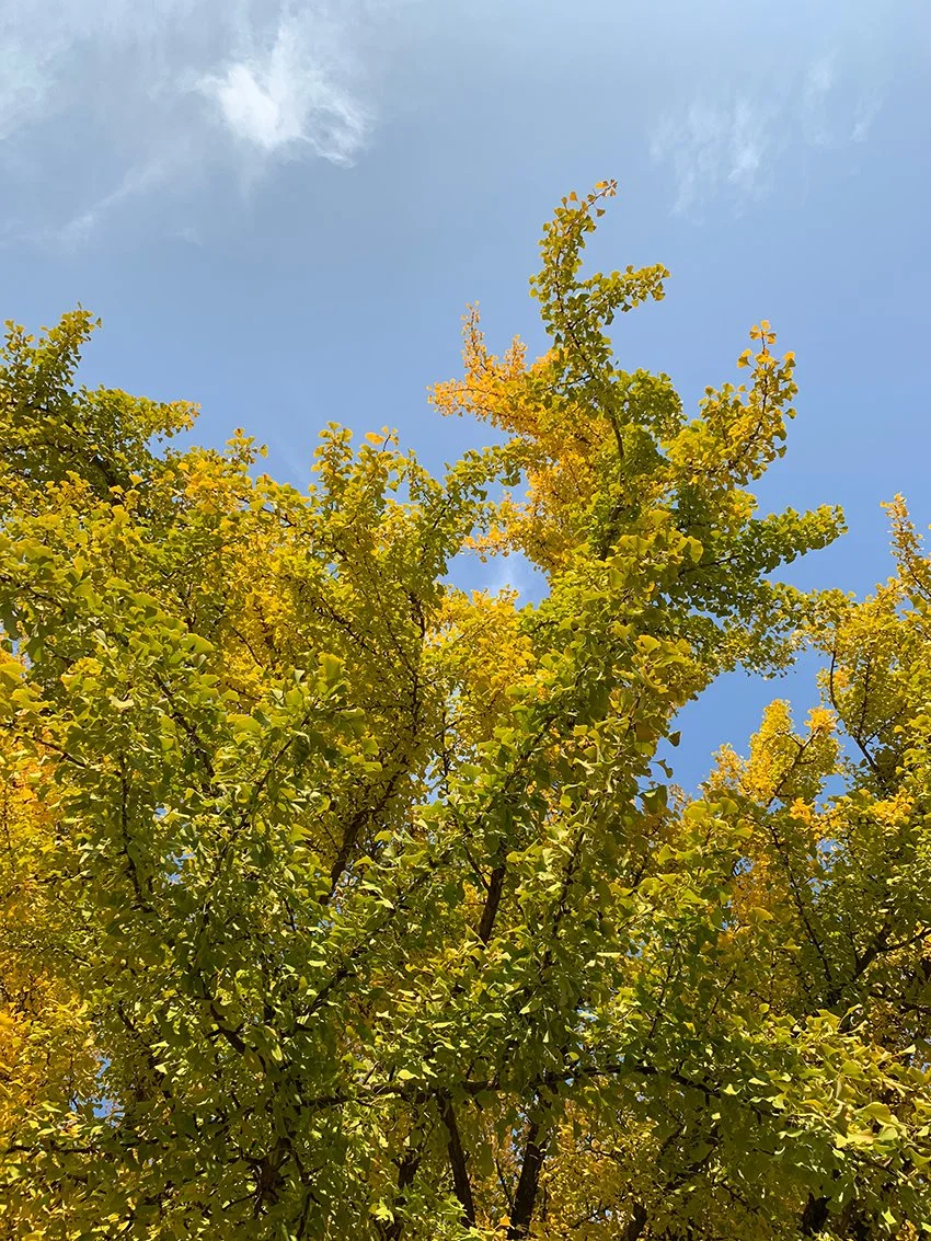 IMG_0021.jpg?type=w1200