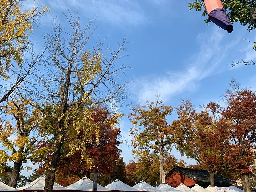 IMG_0013.jpg?type=w1200