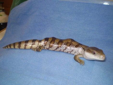 P3200026-1038x779.jpg?zoom=1.100000023841858&amp;resize=598%2C448