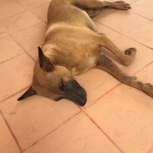 KakaoTalk_20190619_021059133.jpg?resize=300%2C300&ssl=1