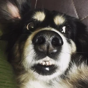 KakaoTalk_20190619_011830841.jpg?resize=300%2C300&ssl=1