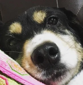 KakaoTalk_20190619_015214197.jpg?resize=293%2C300&ssl=1