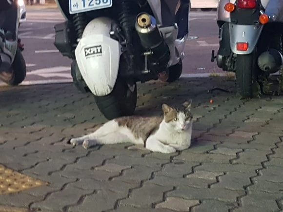 20170627_201935.jpg?type=w580