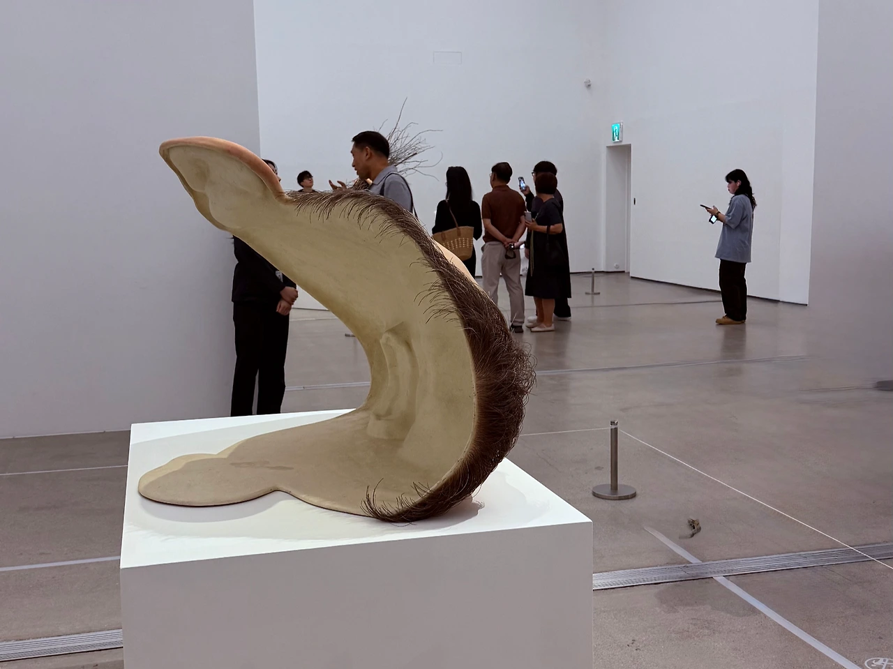 KakaoTalk_Photo_2025-06-28-22-48-48 002.jpeg