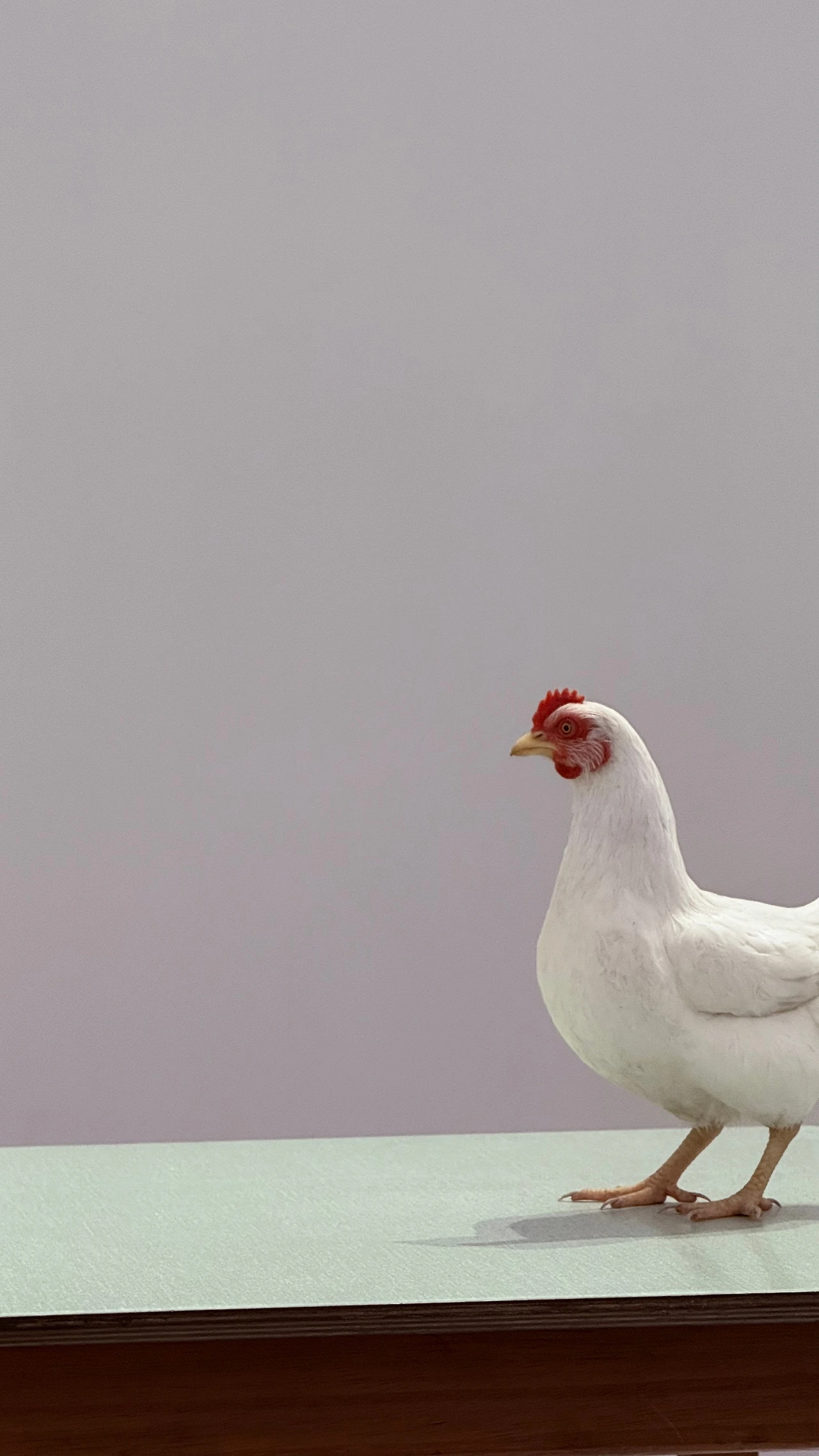 KakaoTalk_Photo_2025-06-28-22-56-48 002.jpeg