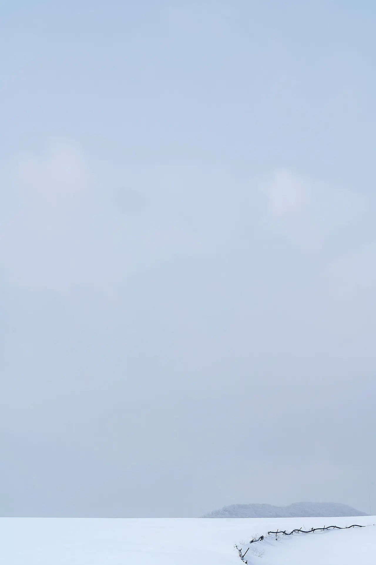 DSC_3387.JPG?type=w1600