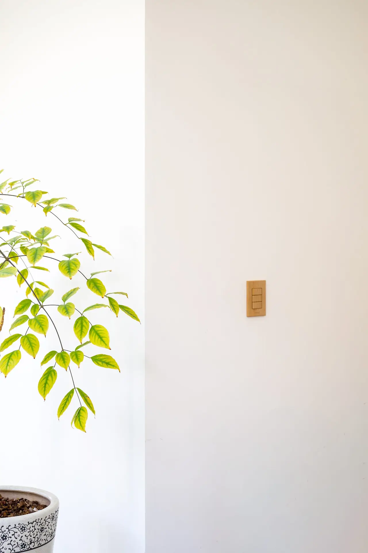 CSC_2525_copy.JPG?type=w1600