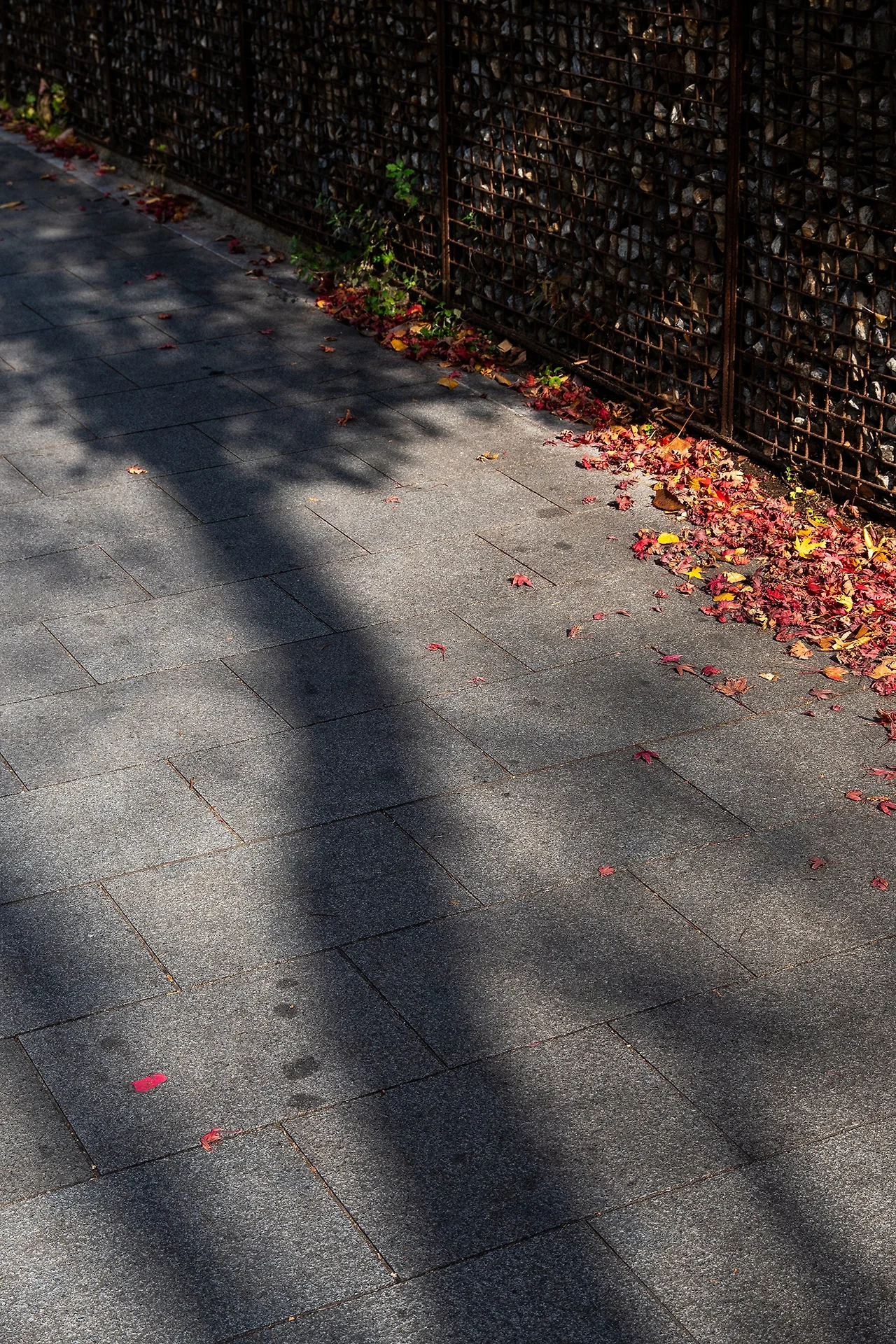 DSC_4887_copy.jpg?type=w1600