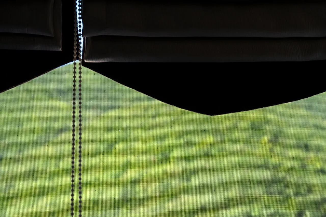 DSC_1345.JPG?type=w1600