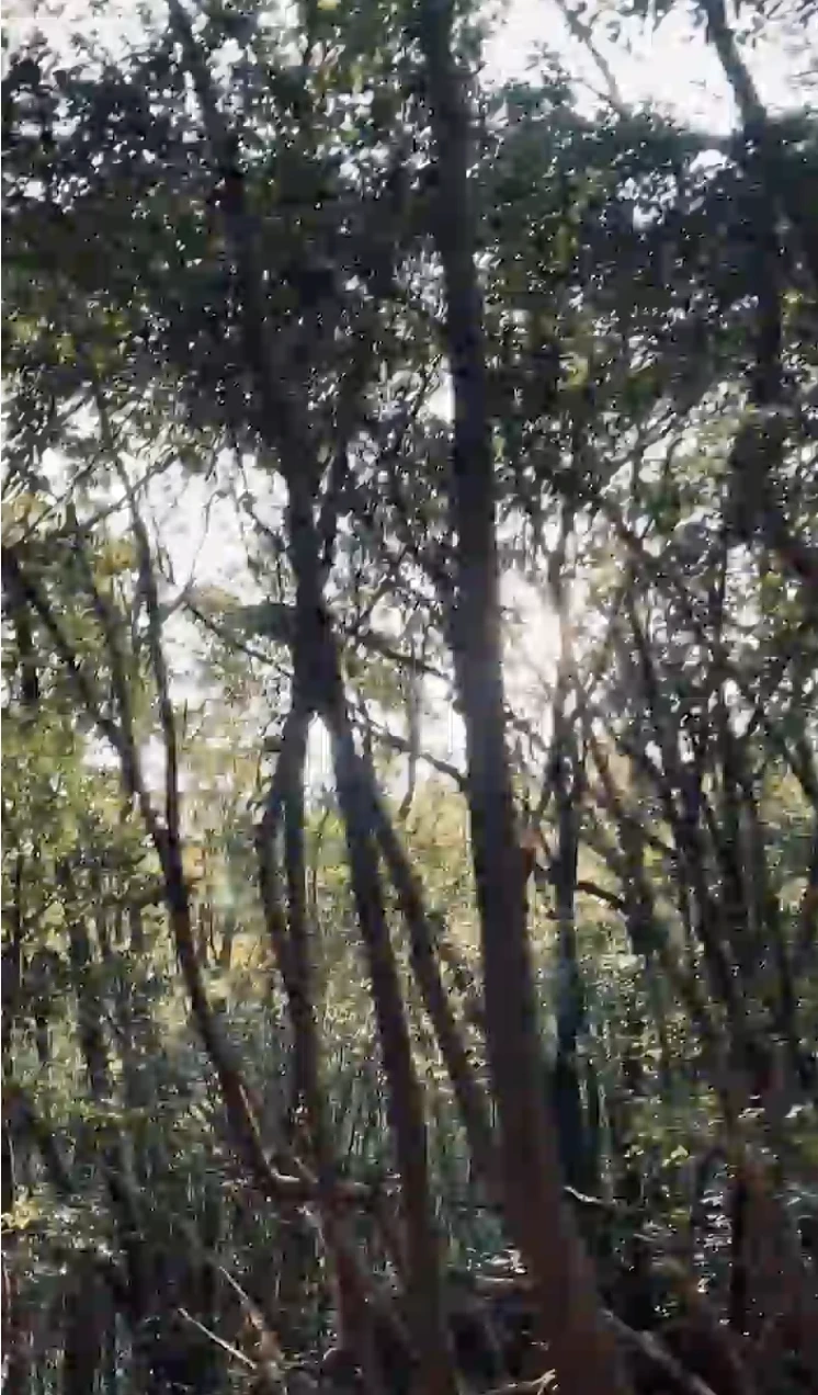 %EC%8A%A4%ED%81%AC%EB%A6%B0%EC%83%B7_2023-08-08_%EC%98%A4%EC%A0%84_4.15.02.png?type=w1