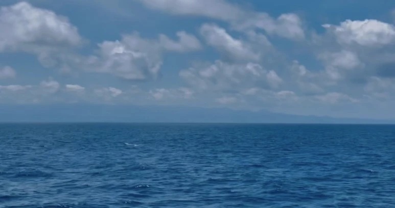 note19.jpeg?type=w773