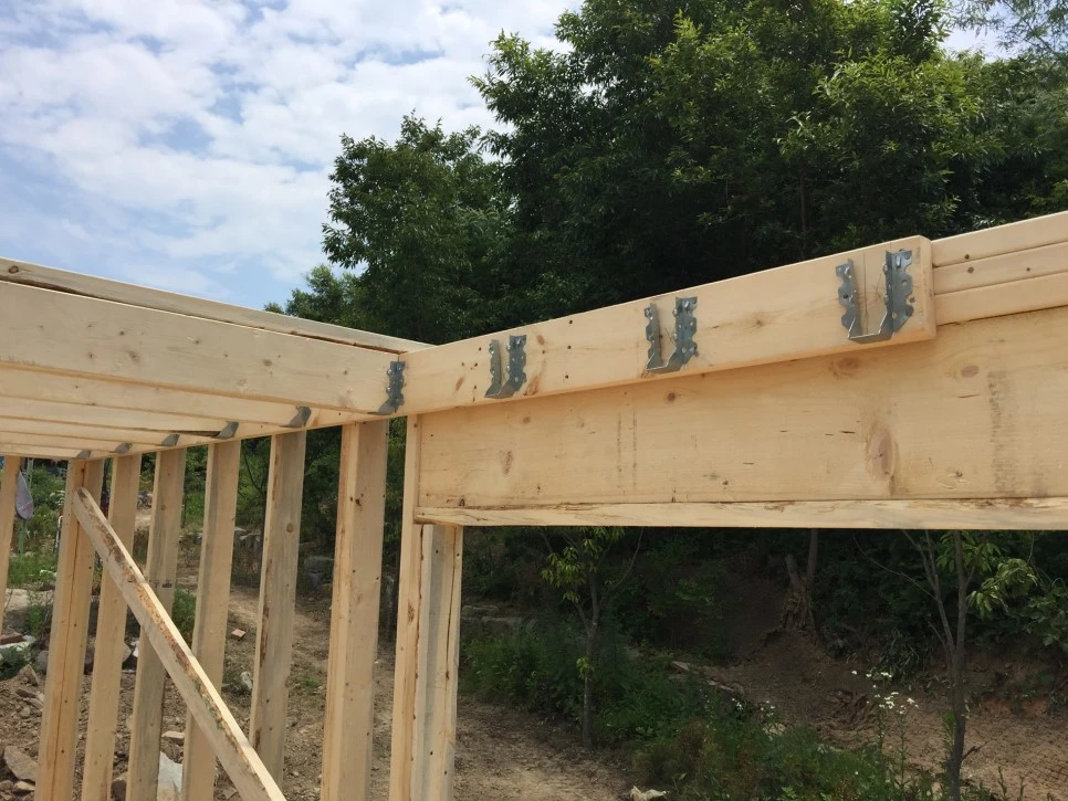 1_%2819%29.jpg?type=w966