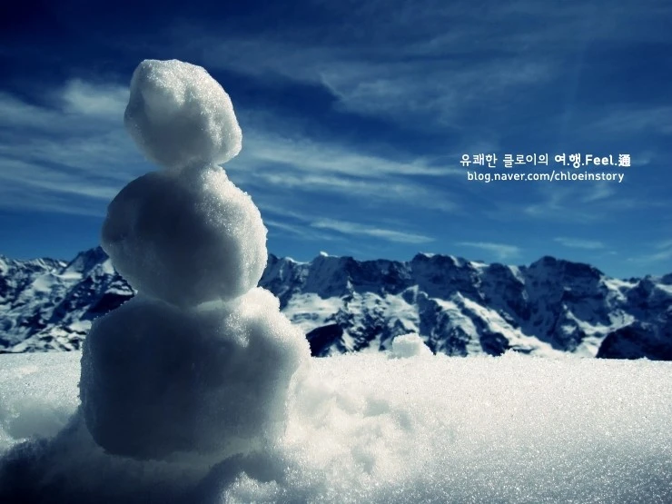 %BD%BA%C0%A7%BD%BA%BD%AF%C6%B0%C8%A3%B8%A5_1.JPG?type=w2