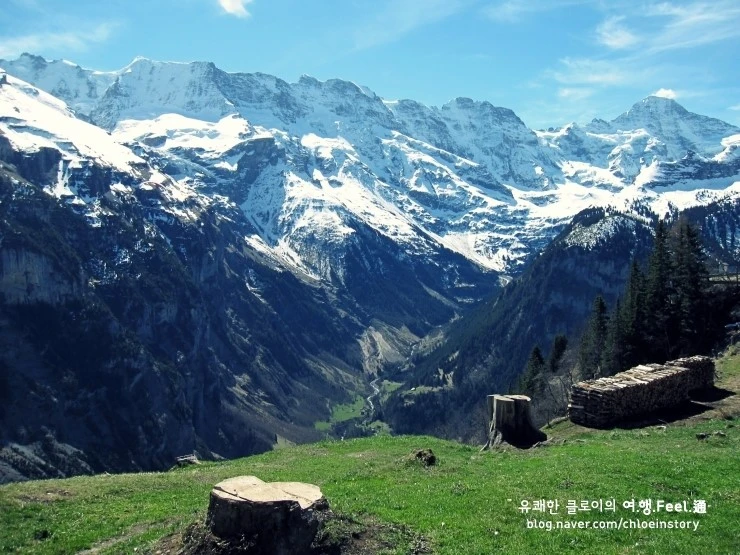 %BD%BA%C0%A7%BD%BA%BD%AF%C6%B0%C8%A3%B8%A5_4.JPG?type=w2