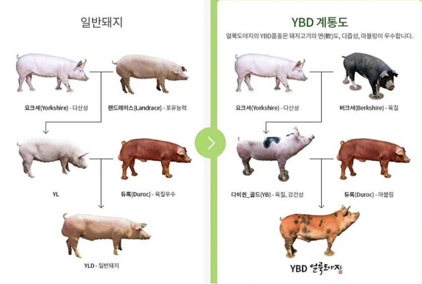 image.png?type=w1600