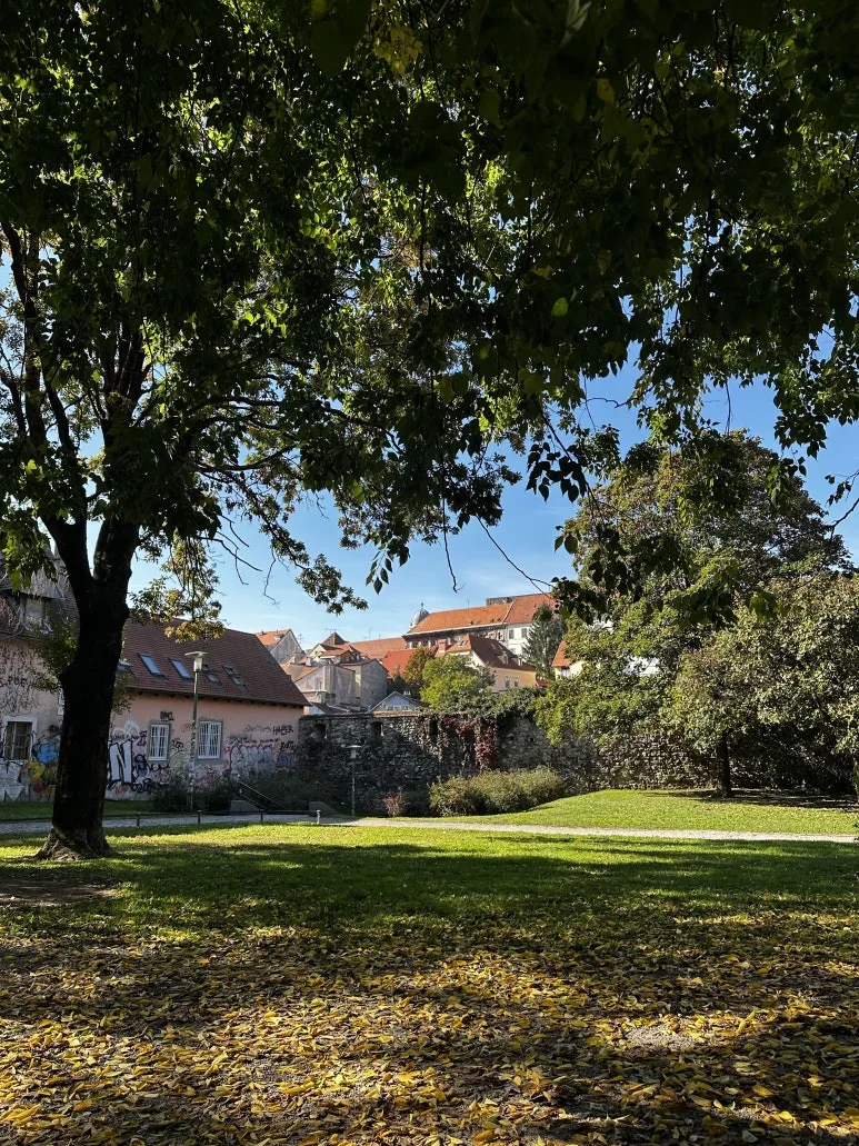 IMG_0534.JPG?type=w773