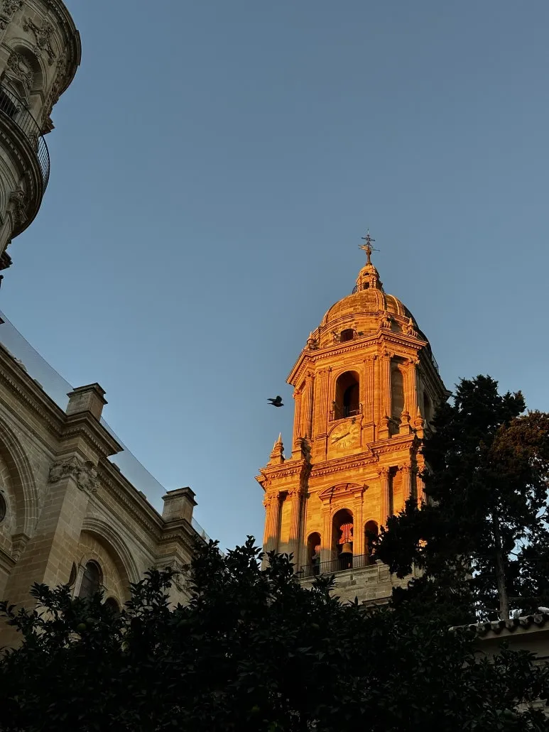 IMG_0638.JPG?type=w773