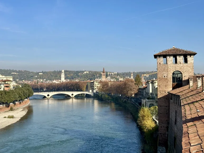 IMG_2211_2.jpg?type=w773