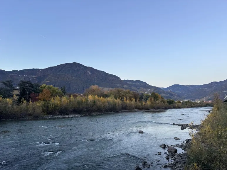 IMG_1935.JPG?type=w773