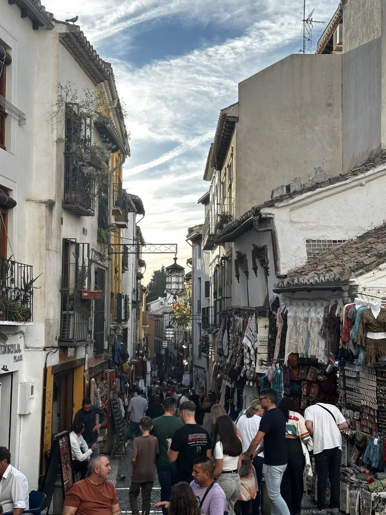 IMG_0791.JPG?type=w773