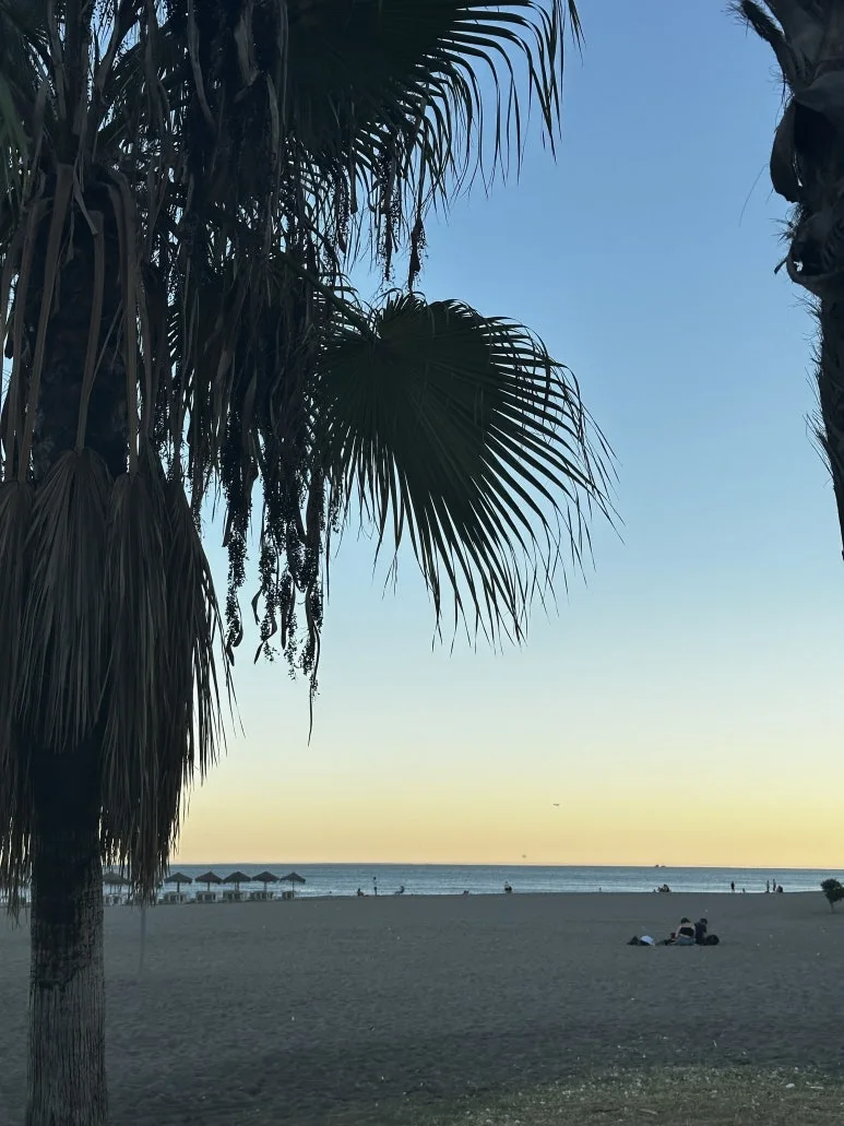 IMG_0621.JPG?type=w773