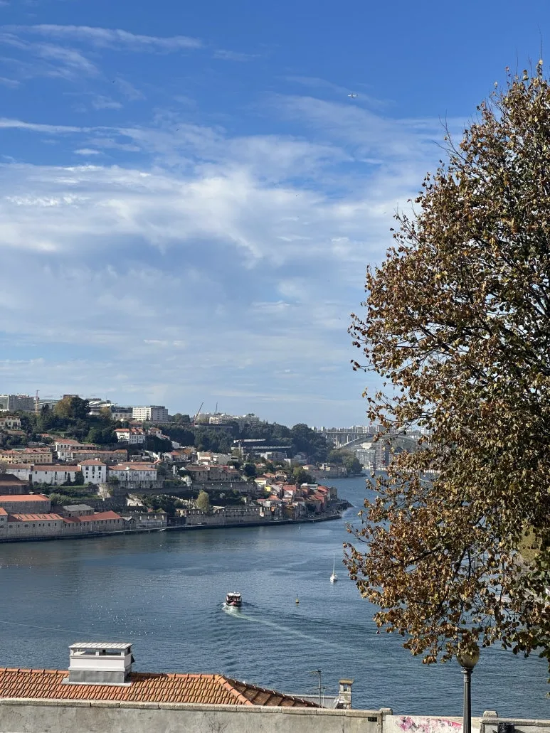 IMG_1637.JPG?type=w773