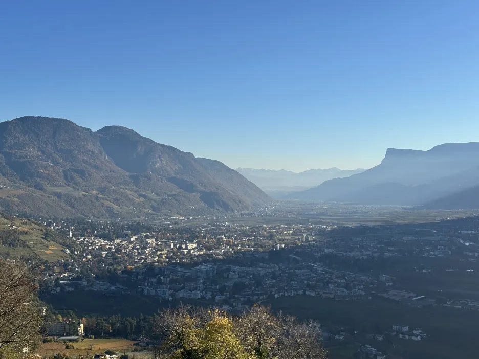 IMG_2011_2.JPG?type=w1