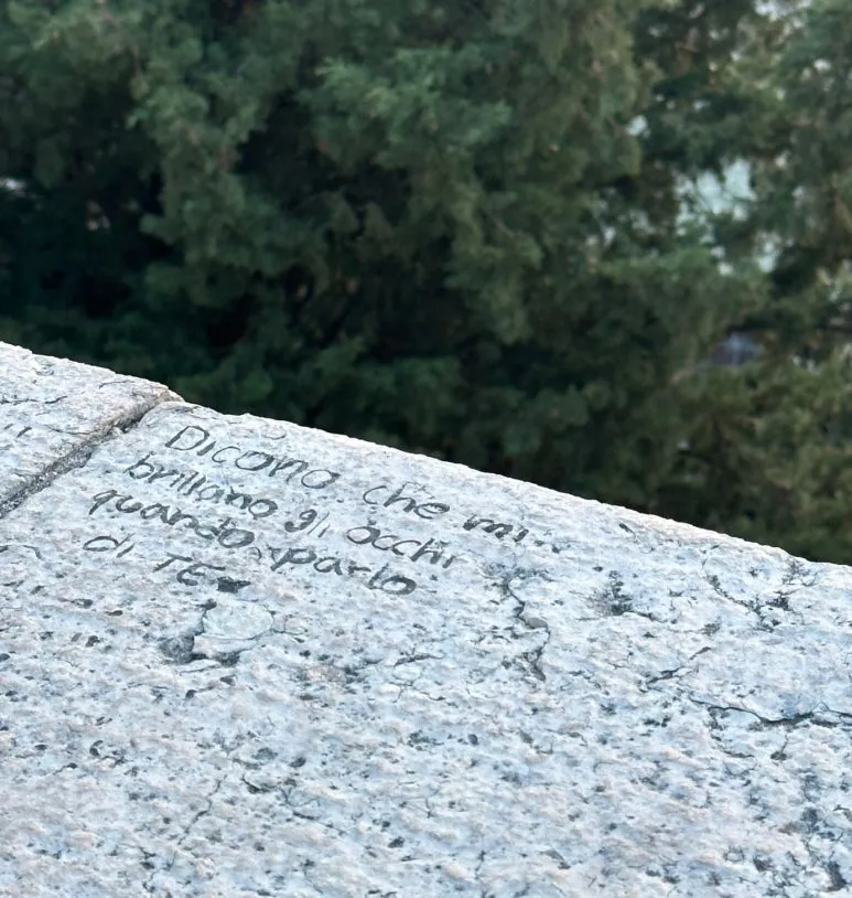 SE-b15e1650-4ddc-40ca-bcb4-04d34ab0fc52.jpg?type=w773