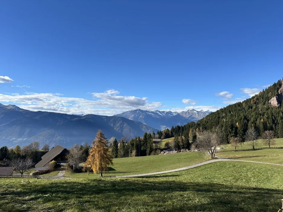 IMG_2078.JPG?type=w1