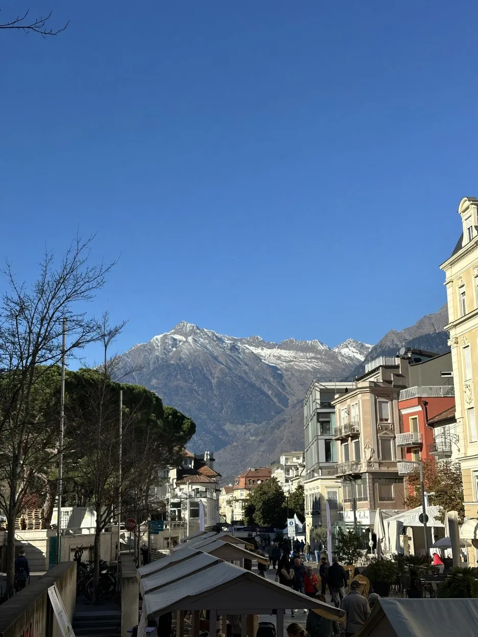 IMG_1984_2.JPG?type=w1