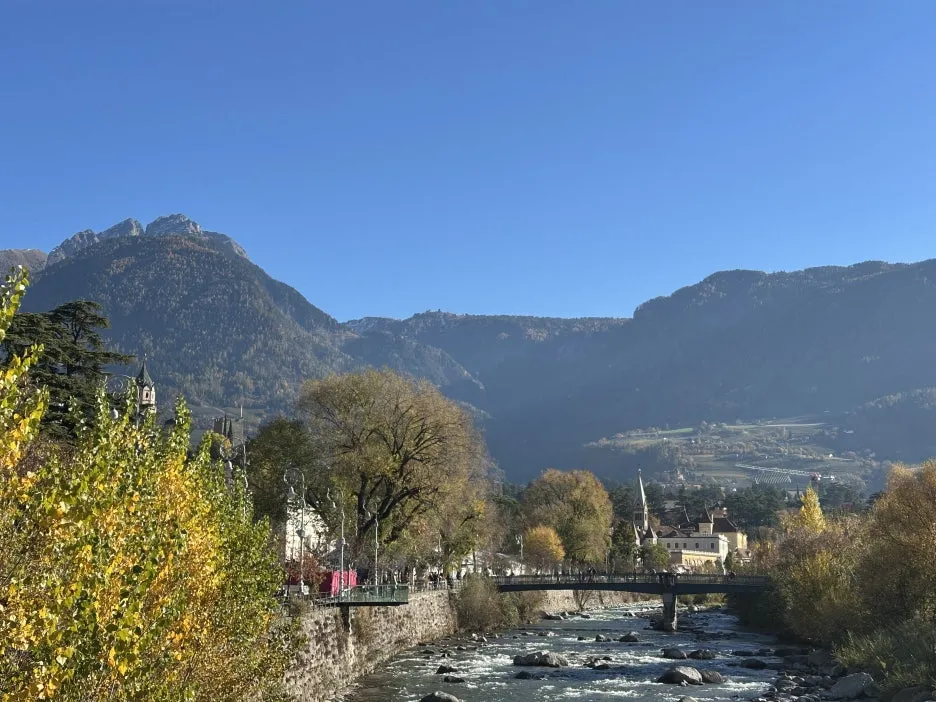 IMG_1979.JPG?type=w1