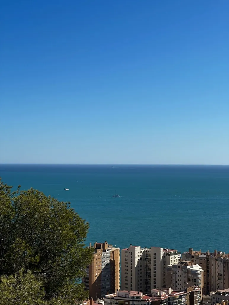 IMG_0606.jpg?type=w773