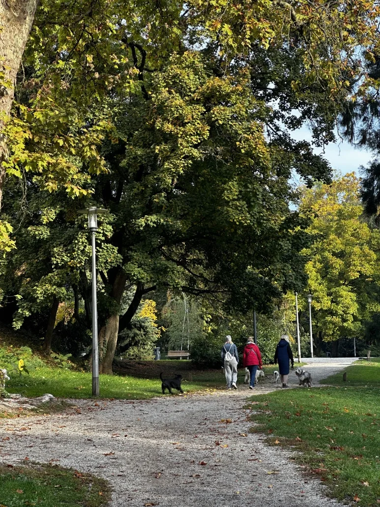 IMG_0475.JPG?type=w773