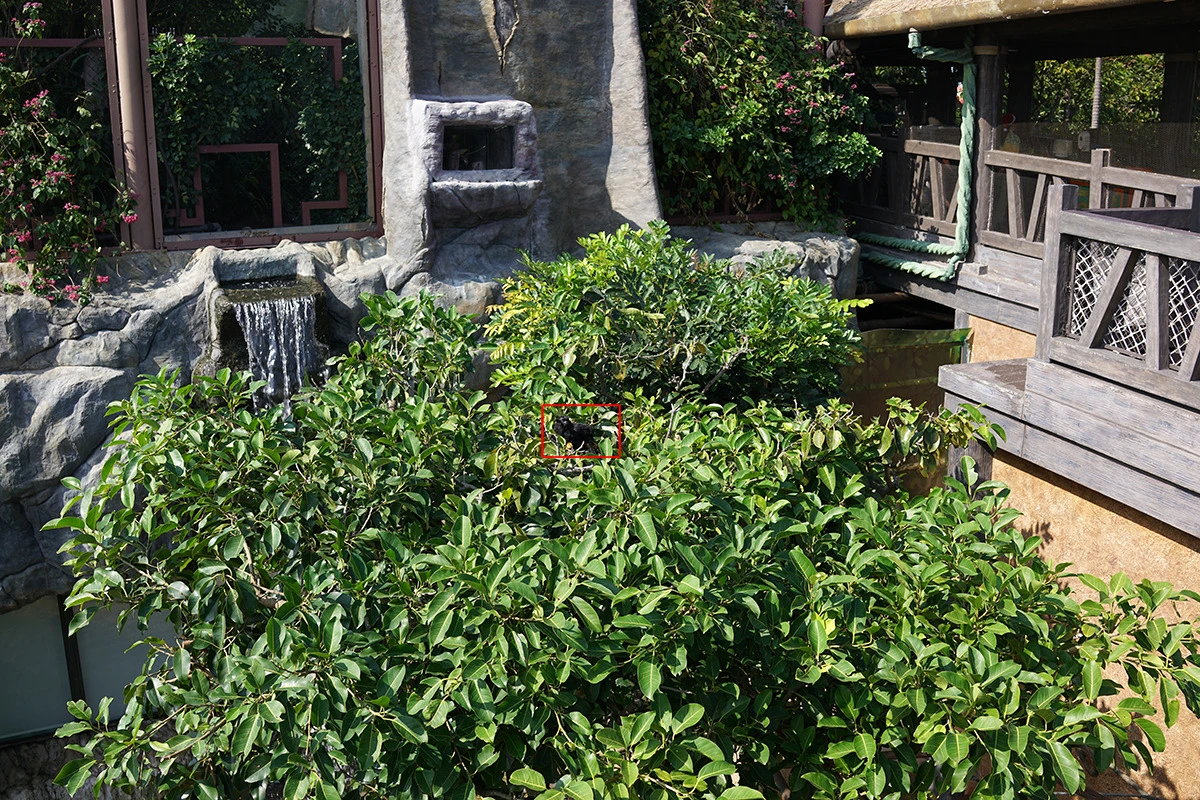 24722B35569276F90729C0