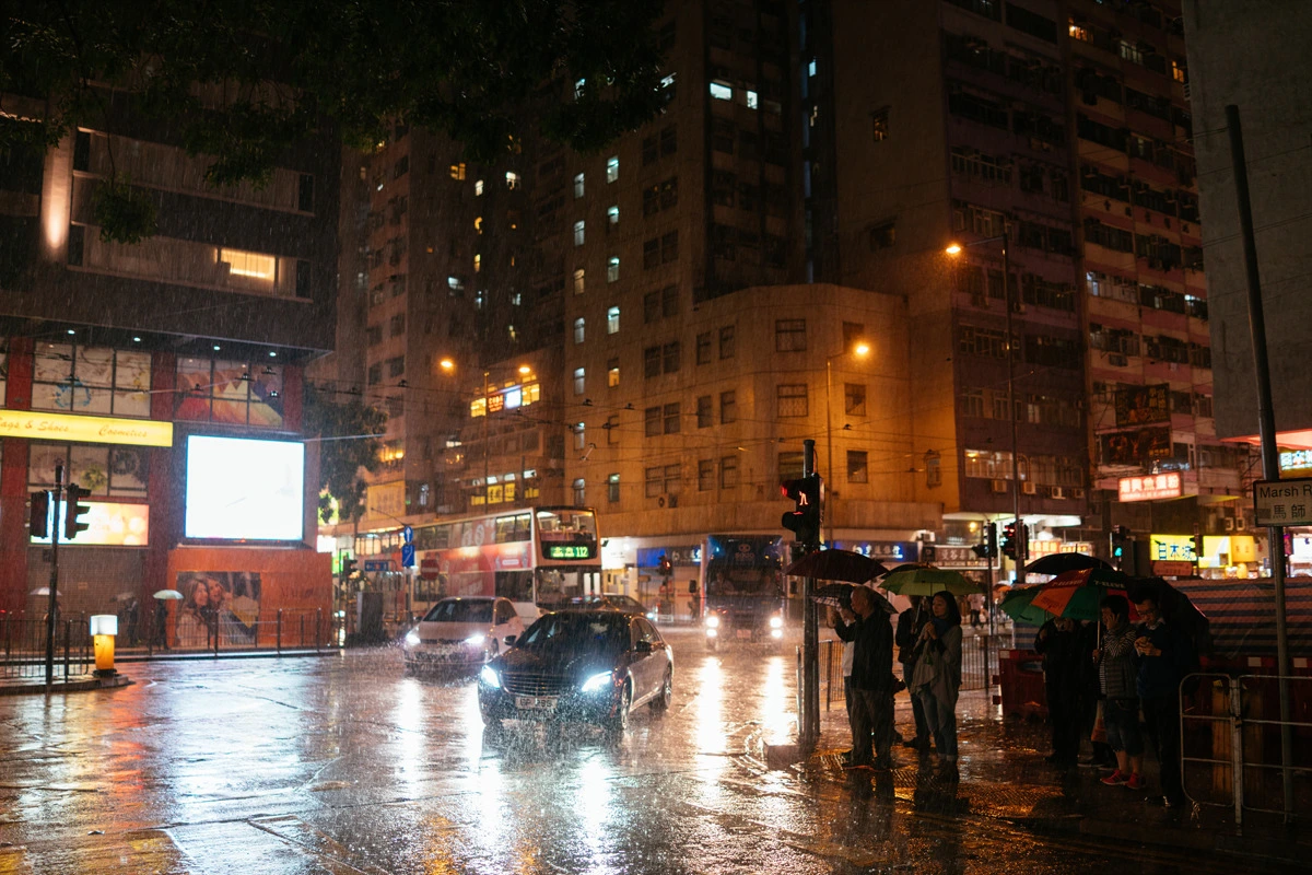 244F473656927791229D6C