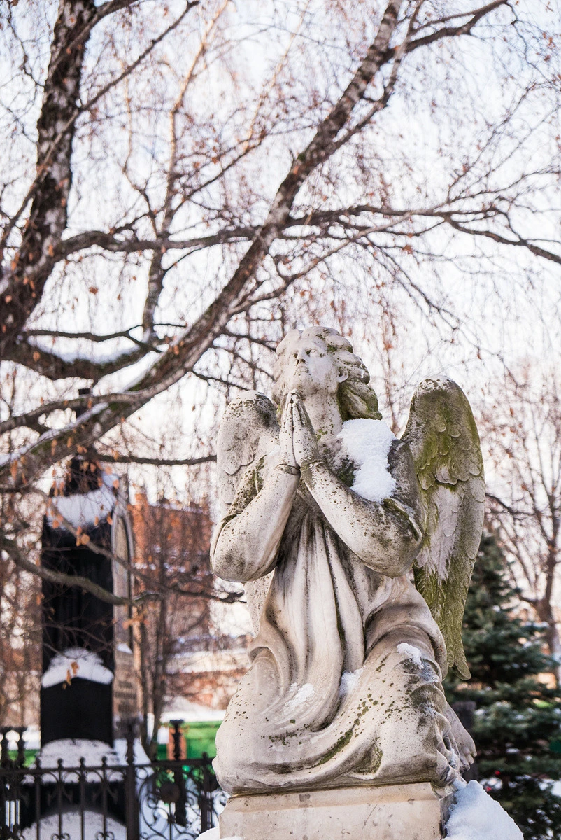 2211CF3C54E2D2C8220097