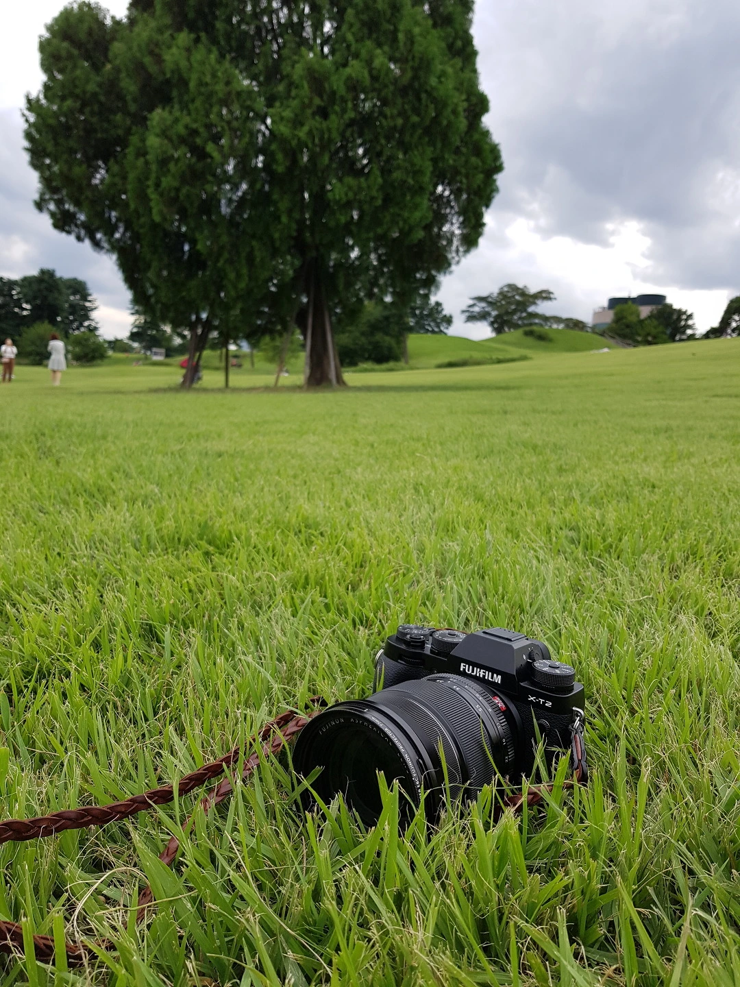 224A143A57C6A2A0309DF7