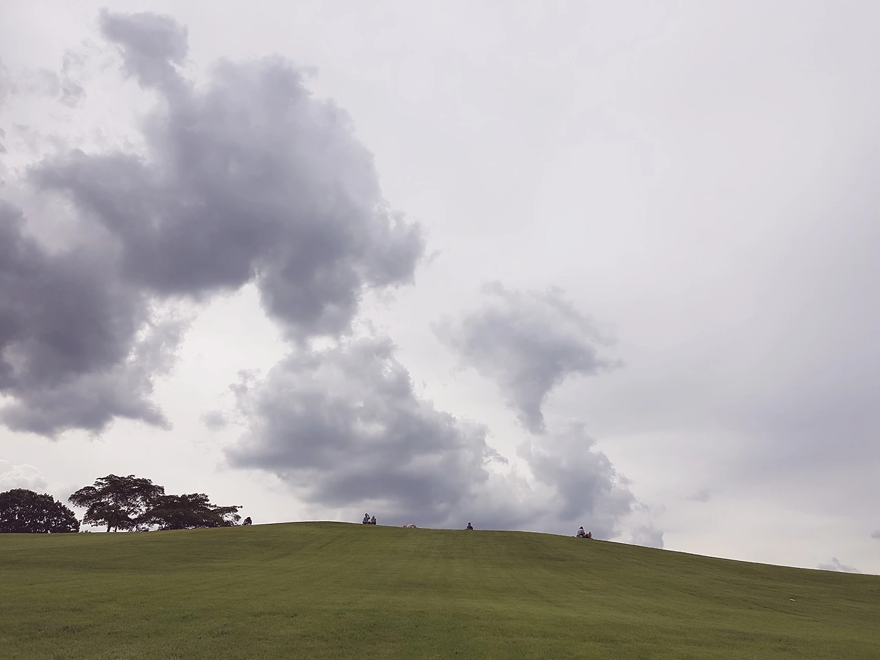 260C474B57C6A1E53416C6