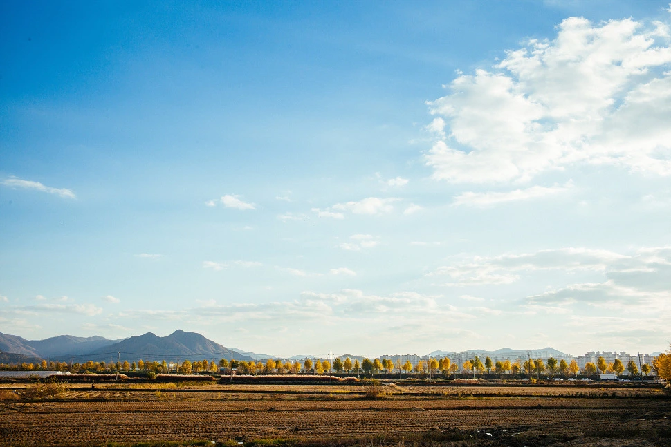 21118B44566021890DA3ED