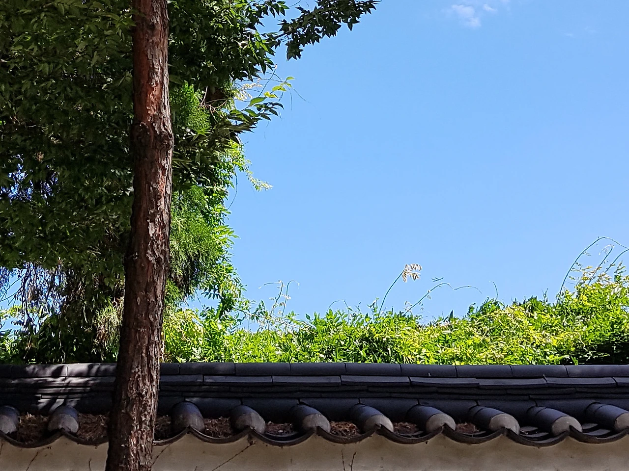 2624204B57C6A5972CC447