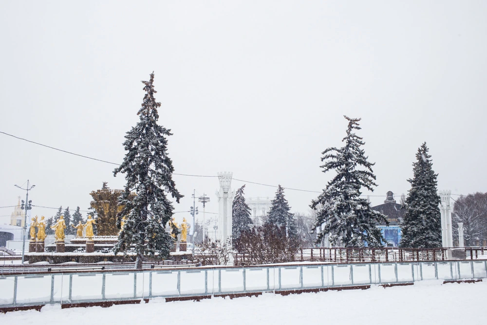 242C5B445502D0291013EB