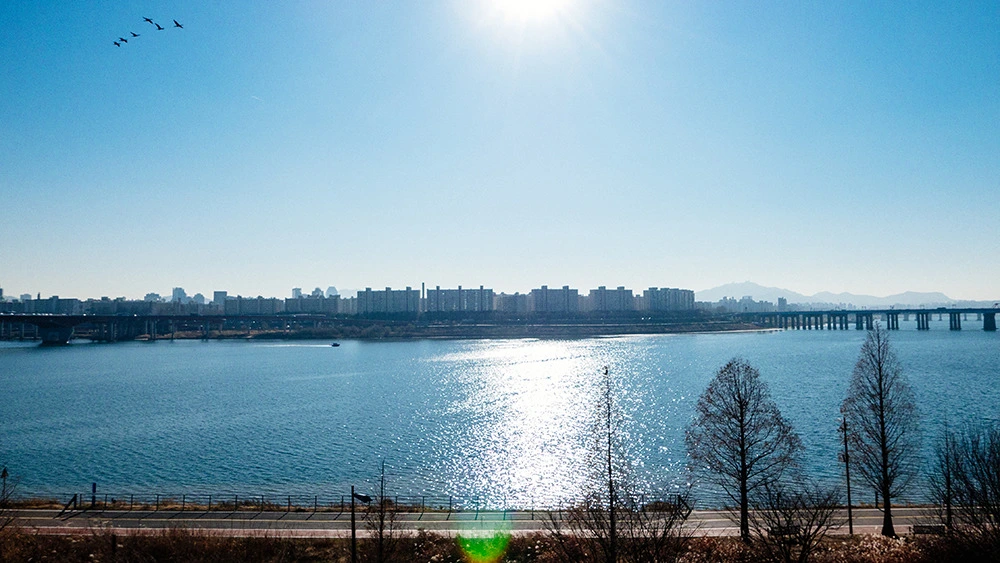 231E023F54E22E95149A18