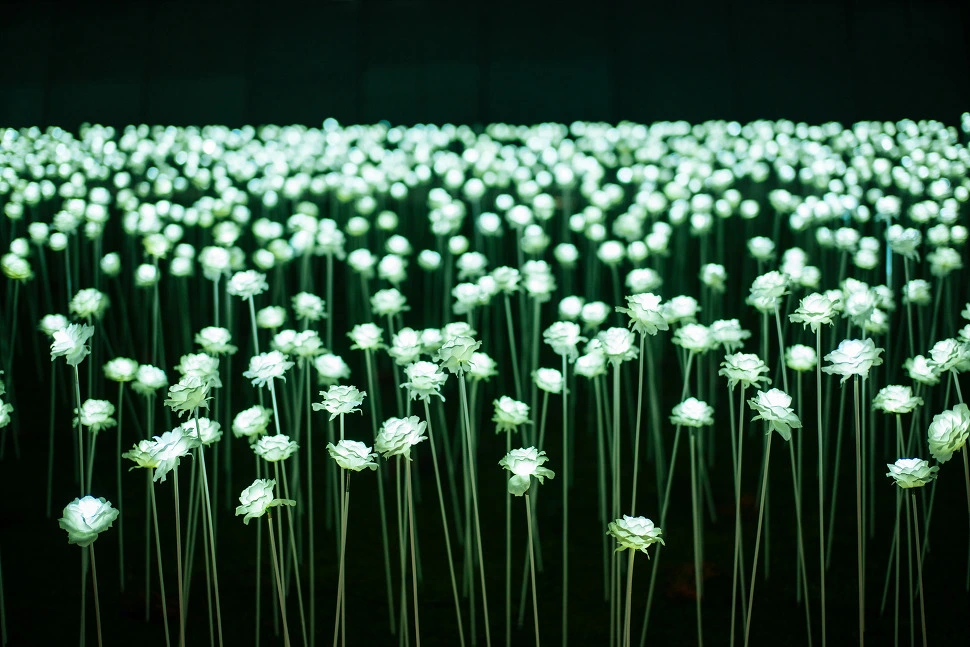 21226E445660170645F989