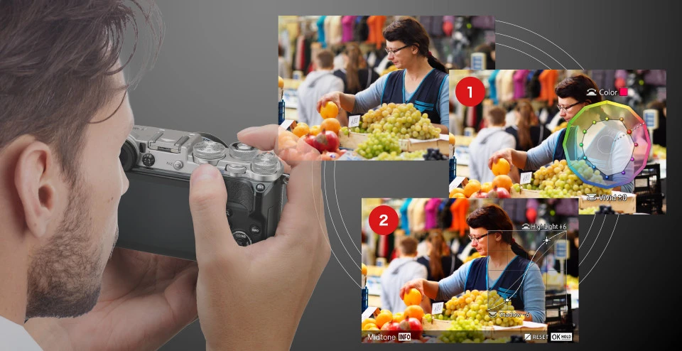 244AF84156D7ED4015FD1D