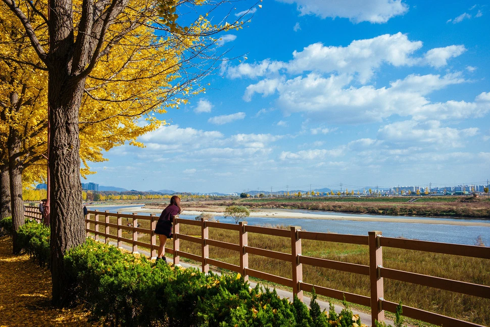 2639584256601EAD1486C4