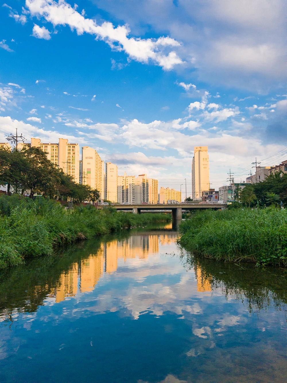 22485C3D57C9812408AFE7