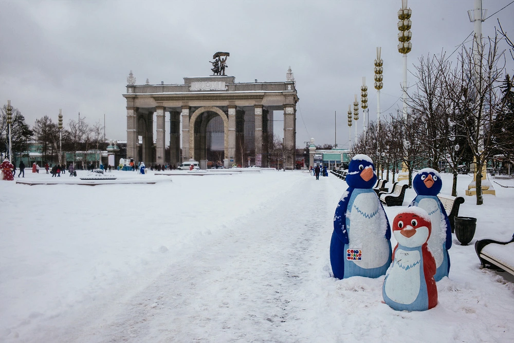 25406B4B54E2E5EF206DD0